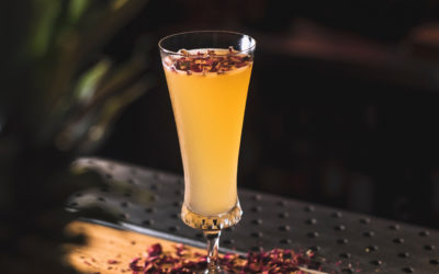 Ricette: Cocktail Shaked Glacé